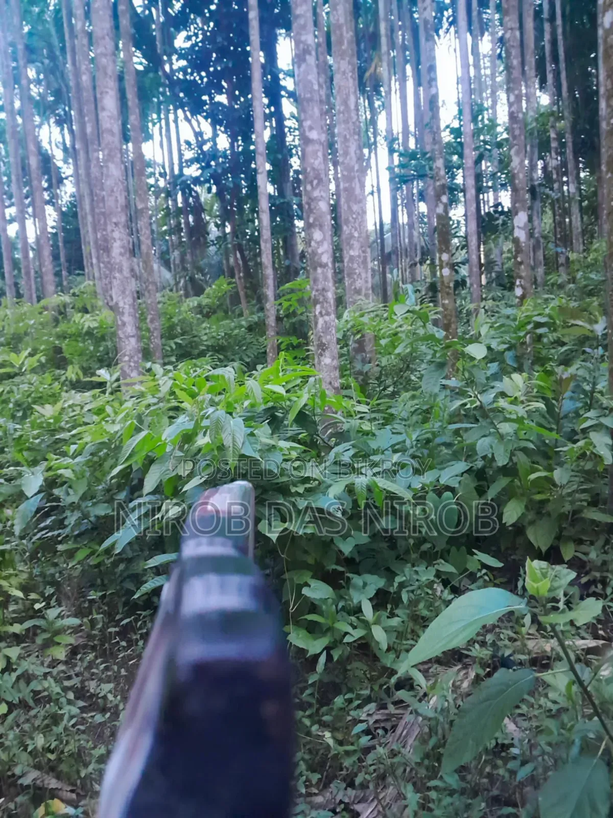 ফুললি কাস্টমাইজড ক্রিকেট ব্যাট