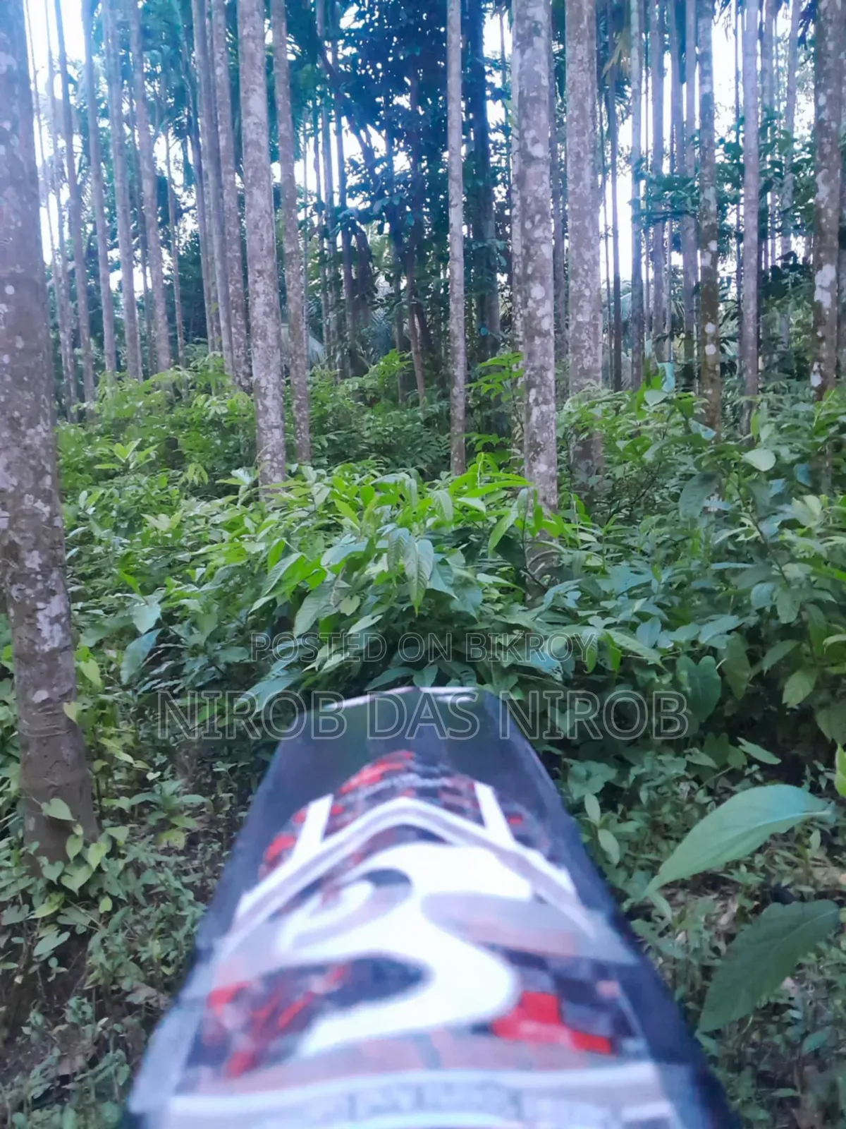 ফুললি কাস্টমাইজড ক্রিকেট ব্যাট