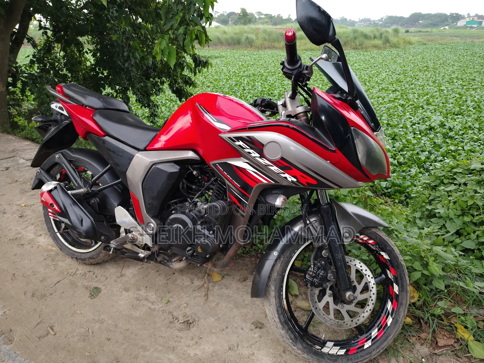 Yamaha 2017 Red