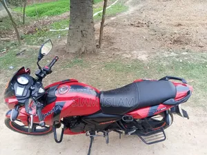 TVS Apache RTR 160 2V 2017 Red
