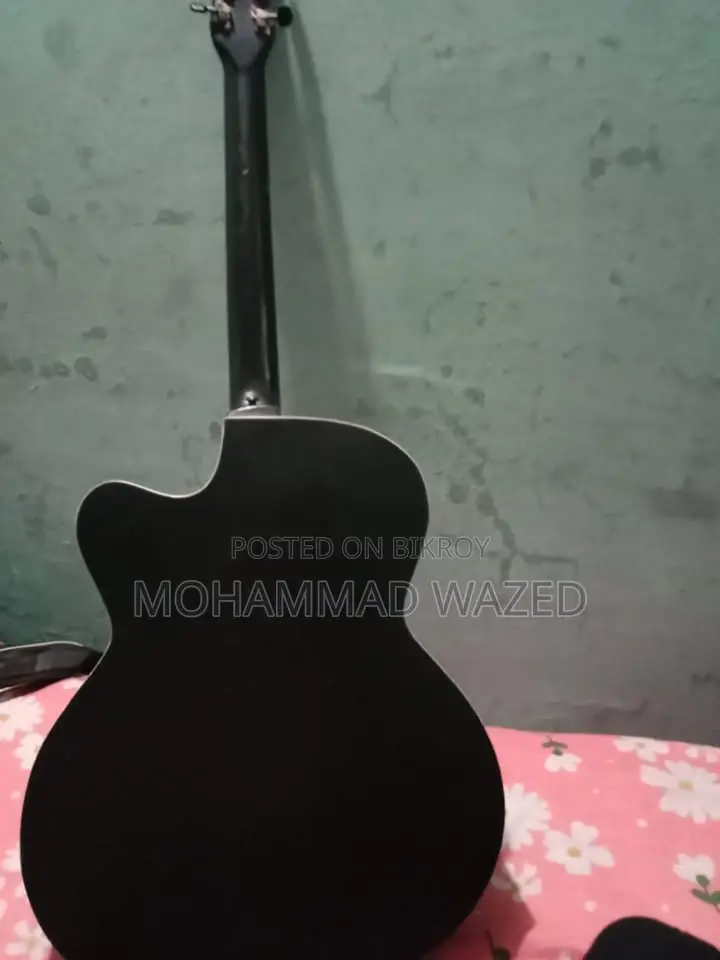 সিগনেচার ২৬৫ গিটার