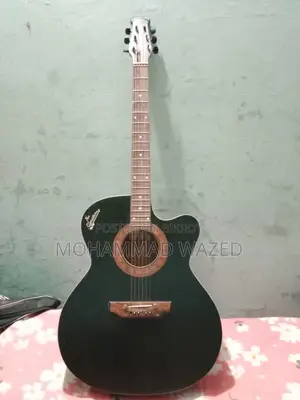 সিগনেচার ২৬৫ গিটার