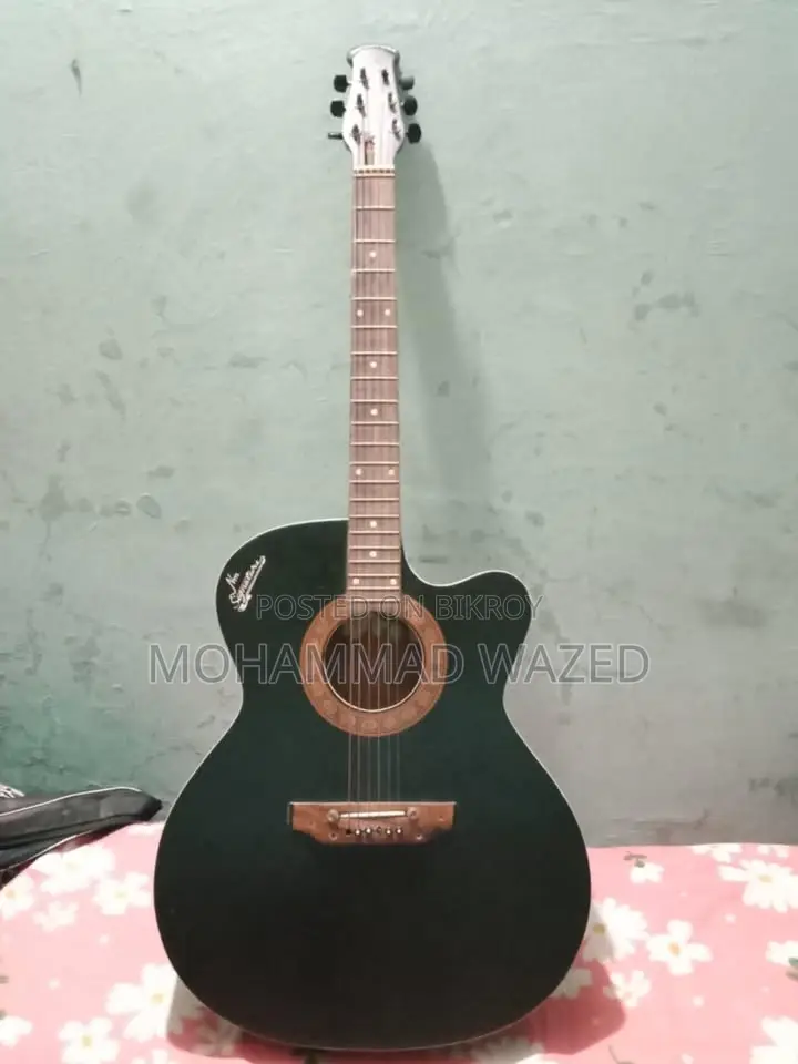 সিগনেচার ২৬৫ গিটার