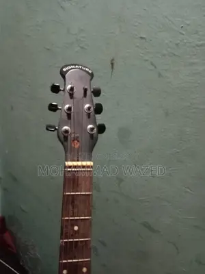 সিগনেচার ২৬৫ গিটার