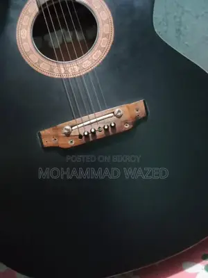 সিগনেচার ২৬৫ গিটার
