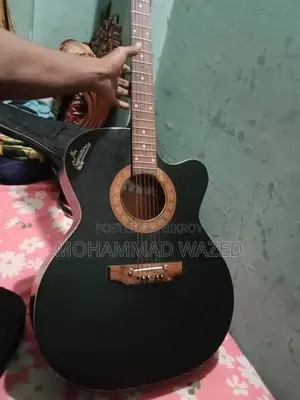 সিগনেচার ২৬৫ গিটার