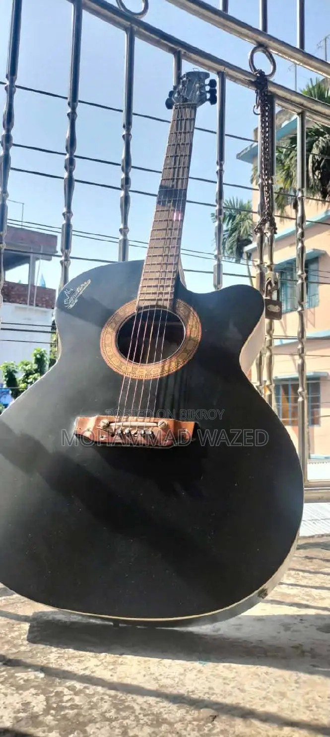 সিগনেচার ২৬৫ গিটার