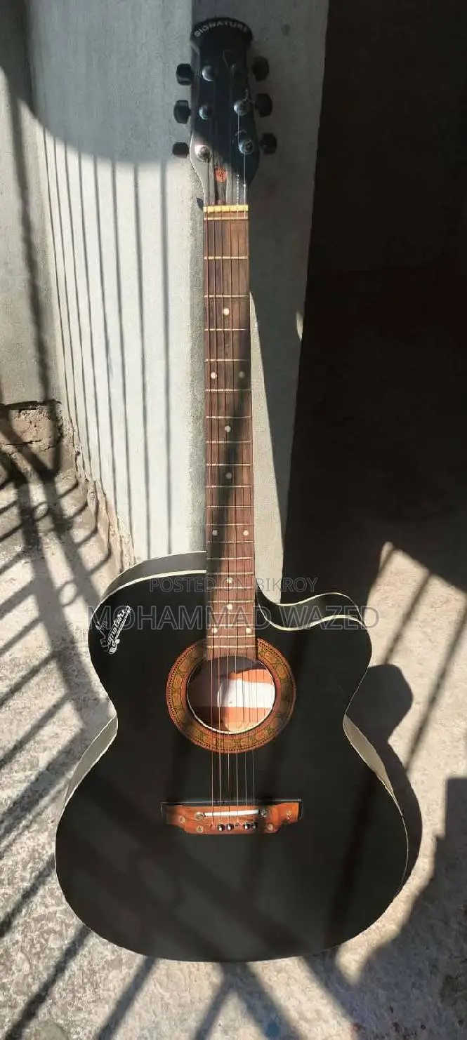 সিগনেচার ২৬৫ গিটার