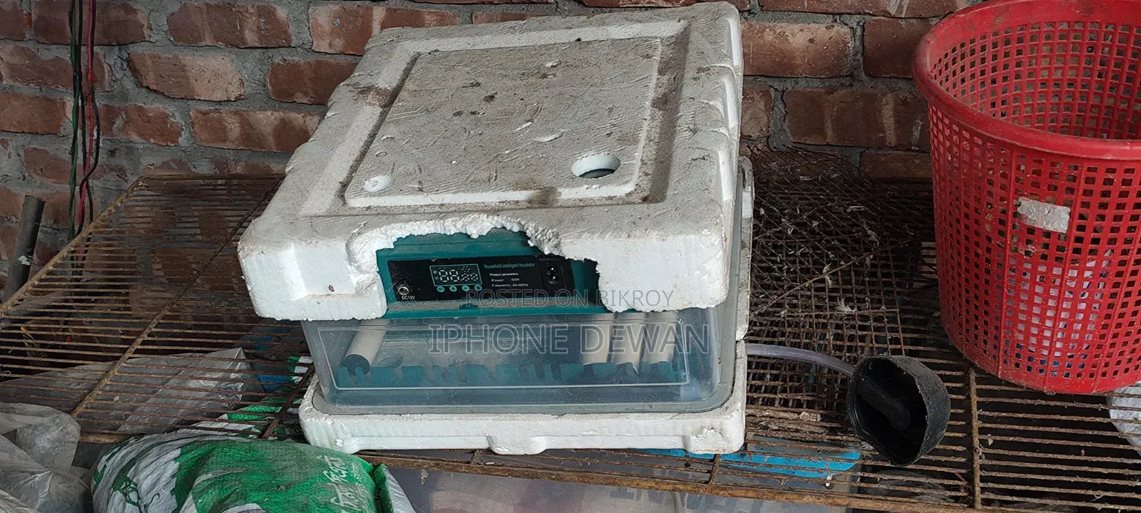 অটো ইনকিউবেটর