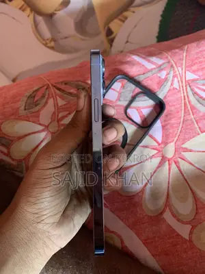 Apple iPhone 13 Pro Max 256 GB Gray
