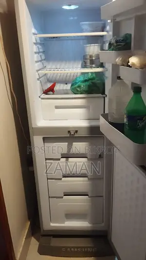 ইলেক্ট্রা রেফ্রিজারেটরের