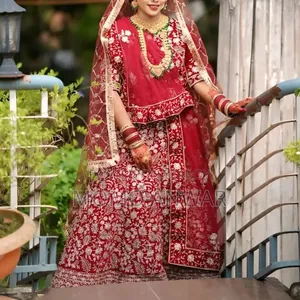 New Lehenga (Worn Once) Full Dollar Work