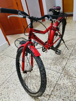 24 Inch Prince Cycle (Almost New)