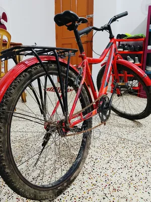 24 Inch Prince Cycle (Almost New)