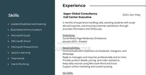 Customer Support and Sales Executive