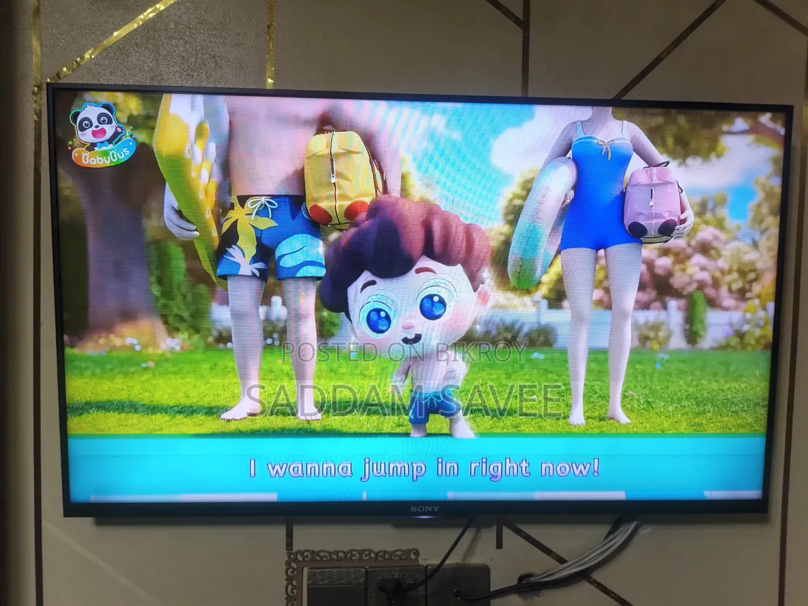 Television