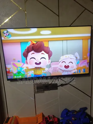 Television