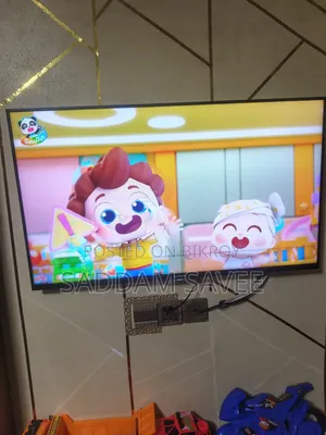 Television