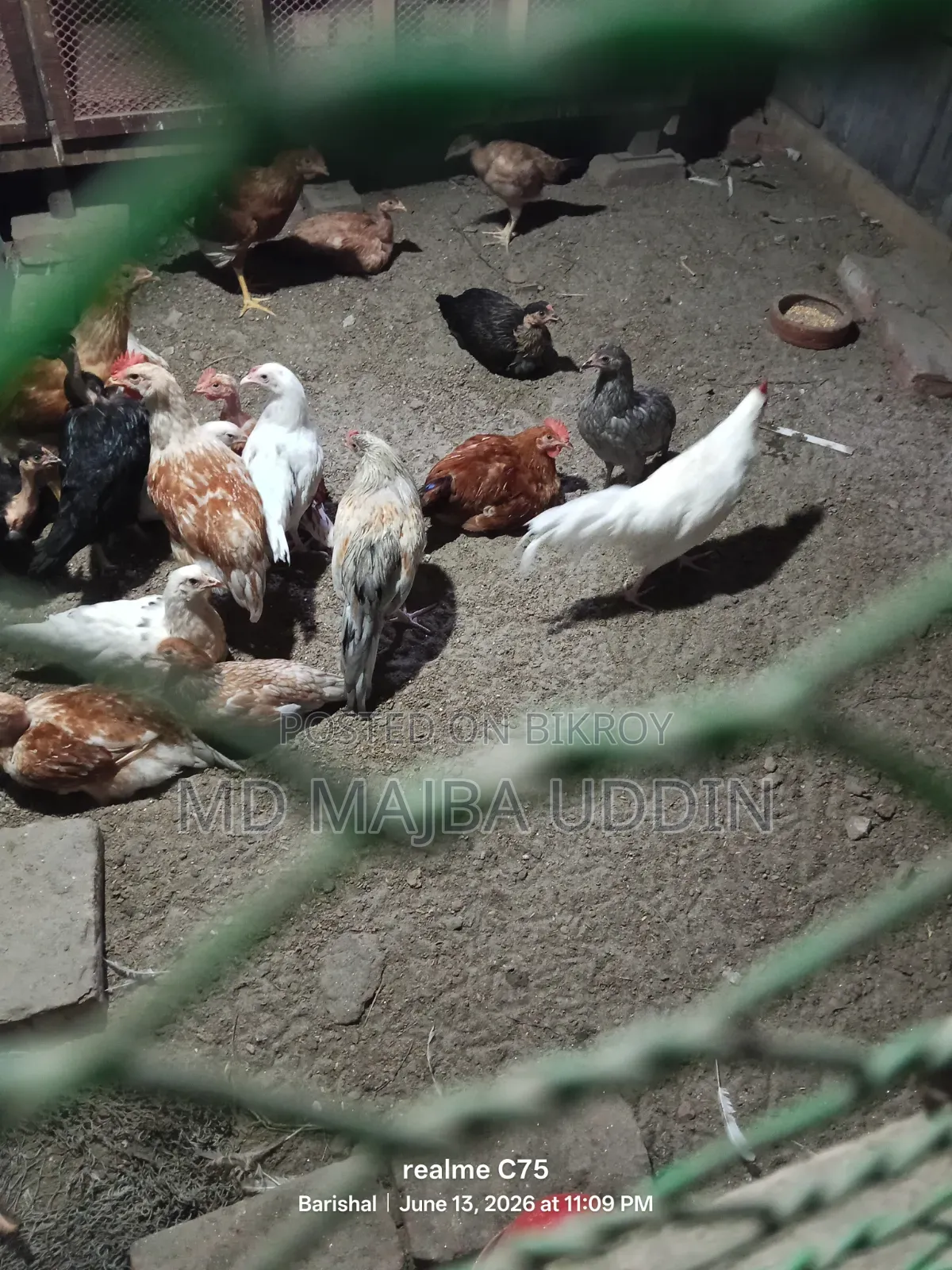 Chicken for sale