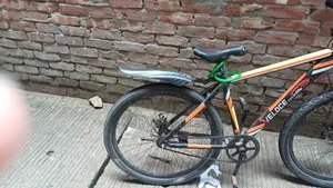 Non-gear bicycle for sale