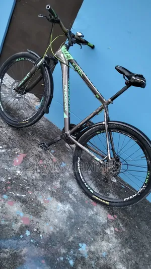ফিনিক্স গিয়ার সাইকেল বিক্রয়