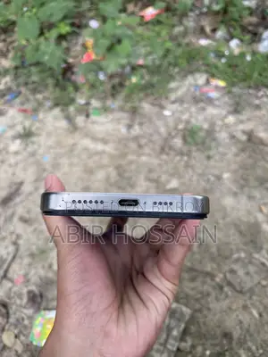 Apple iPhone 15 Pro Max 256 GB Silver