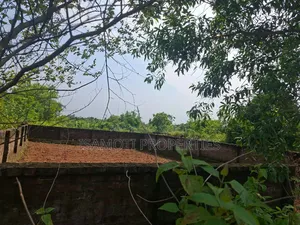 3 Katha plot for sale near 150 ft road, Sector 29