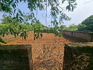 3 Katha plot for sale near 150 ft road, Sector 29