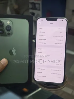 Apple iPhone 13 Pro Max 256 GB Green