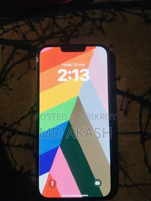 Apple iPhone 13 Pro Max 256 GB