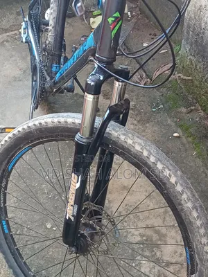 Seventy One Cycle