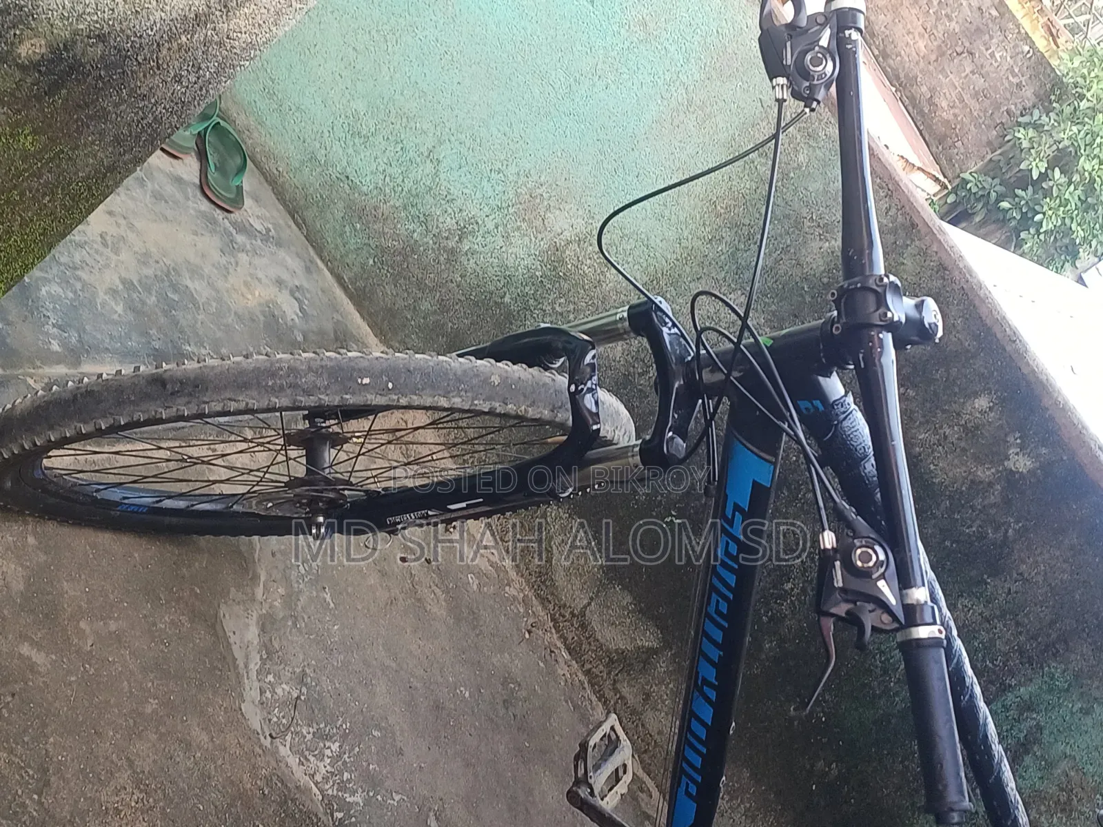 Seventy One Cycle