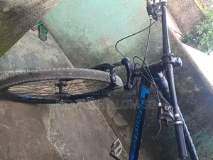 Seventy One Cycle