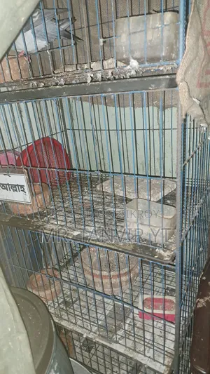 New Condition Cage