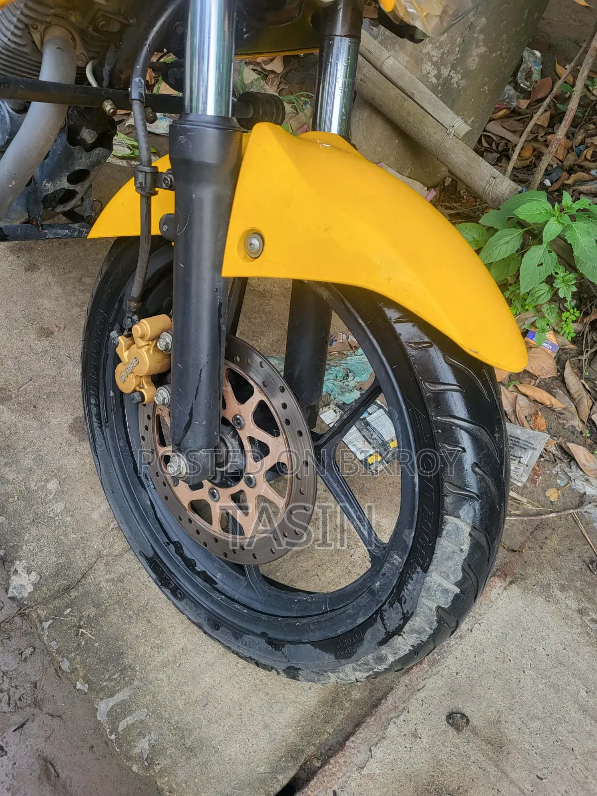 Suzuki Gixxer Monotone 2024 Yellow