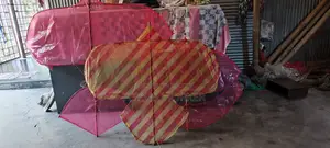 Beautiful Large Kite