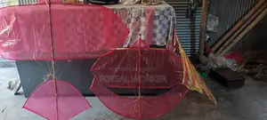 Beautiful Large Kite