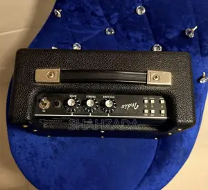 Fender Indio Bluetooth Speaker Better Than Marshall Woburn III (3)