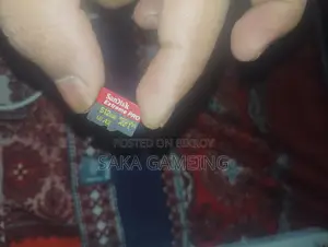 Micro SD Card (Memory)