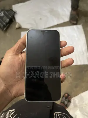 অ্যাপল আইফোন ১২ ১২৮ জিবি সবুজ