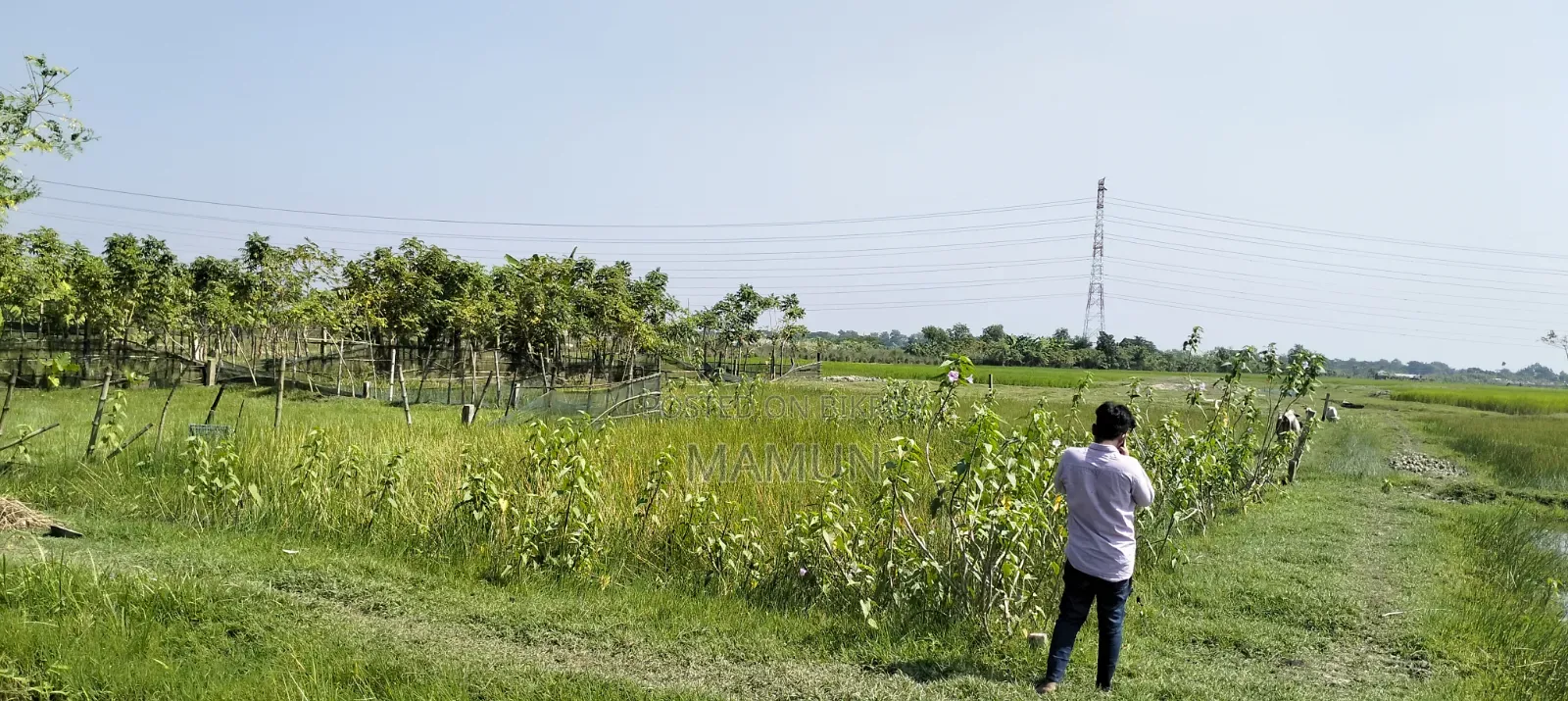 স্বল্প মূল্যে ফ্রেশ জমি ক্রয় করুন।