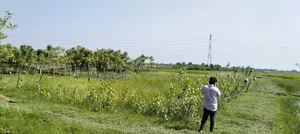 স্বল্প মূল্যে ফ্রেশ জমি ক্রয় করুন।
