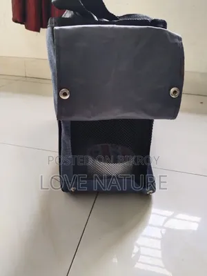 স্মার্ট পেট ক্যারিয়ার ব্যাগ