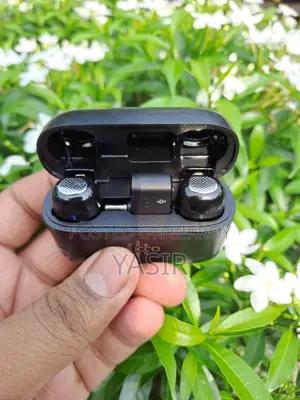 Luucco Minipods Wireless Microphone