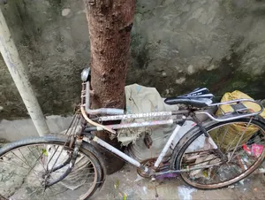 Bicycle for sale
