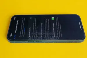অ্যাপল আইফোন ১৩ ১২৮ জিবি গ্রিন