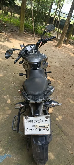 Bajaj Pulsar NS 160 2018 Gray