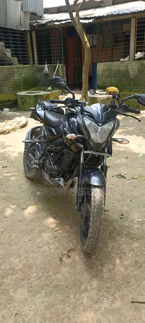 Bajaj Pulsar NS 160 2018 Gray