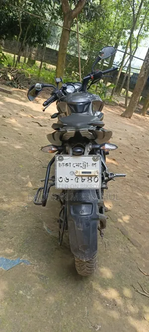 Bajaj Pulsar NS 160 2018 Gray