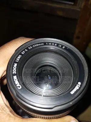 Canon 55-250mm Lens